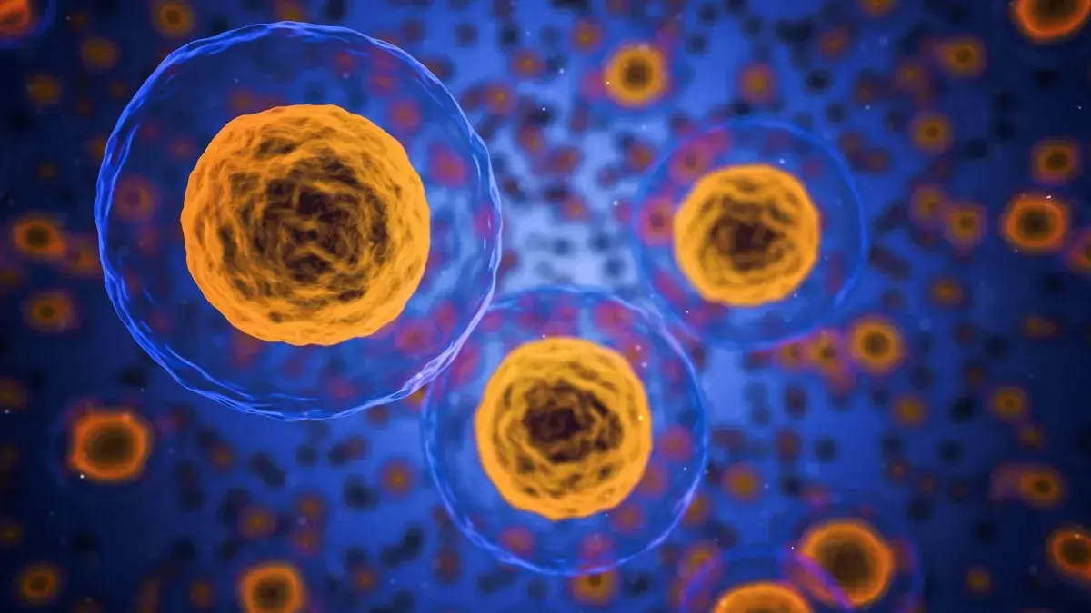 The Wellcome Trust Centre for Cell Biology