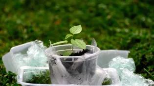 Centre for Engineering Biology