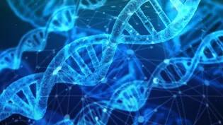 Genome project sheds light on rare diseases in Scotland