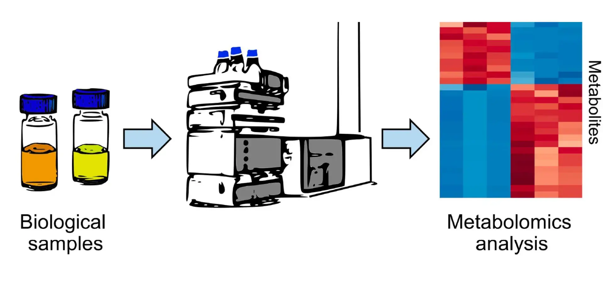 EdinOmics diagram