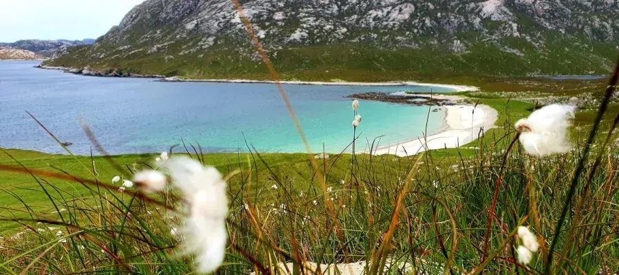 A landscape of lake view