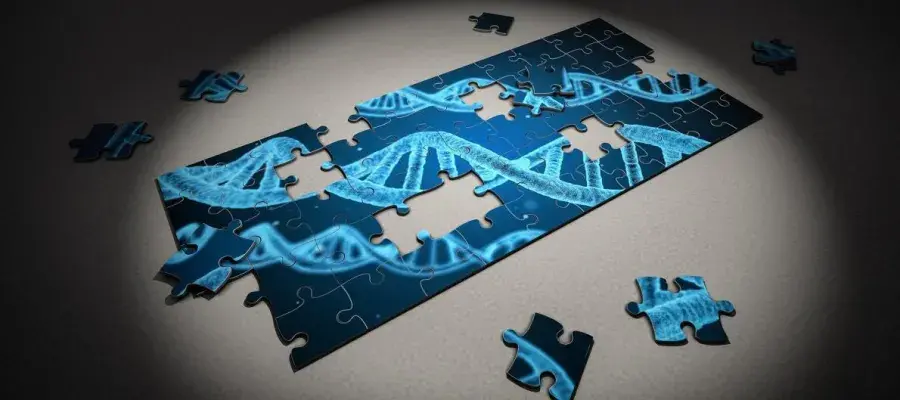 Puzzle of DNA structure