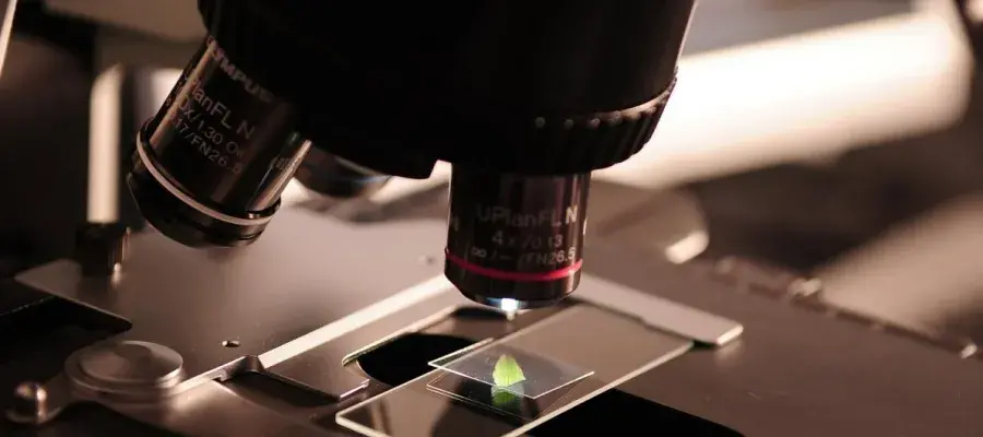 Microscope