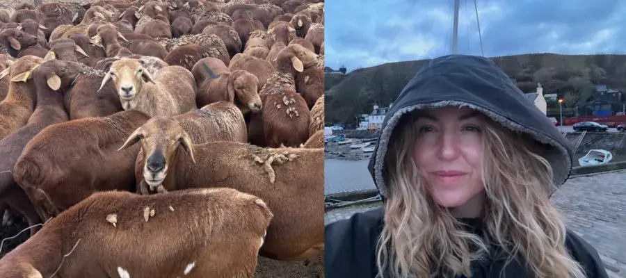 Red Massai sheep and Melissa Marr