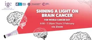 Shining a Light on Brain Cancer (glioblastoma), Feb 3