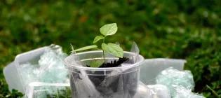 Centre for Engineering Biology