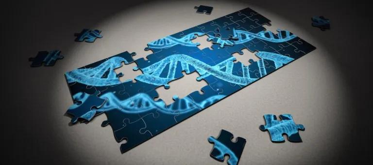 Puzzle of DNA structure