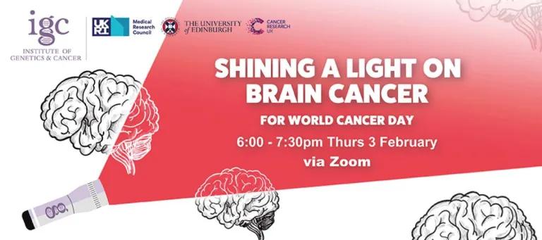 Shining a Light on Brain Cancer (glioblastoma), Feb 3