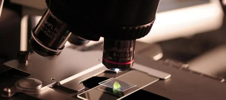 Microscope