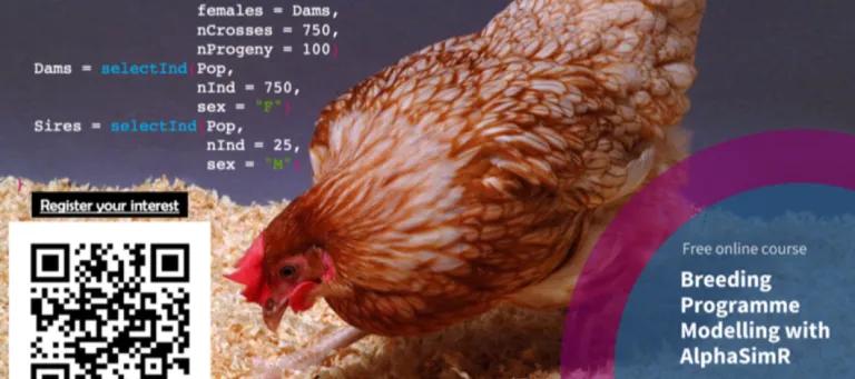 An image of chicken in the background with a qr code for signing up
