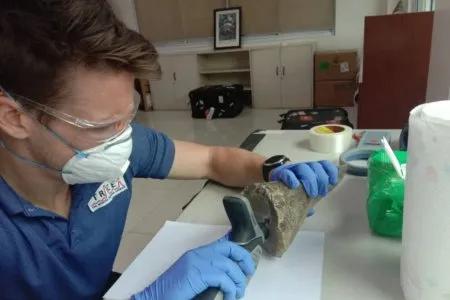 Kyle sampling a rhino horn (~2020)