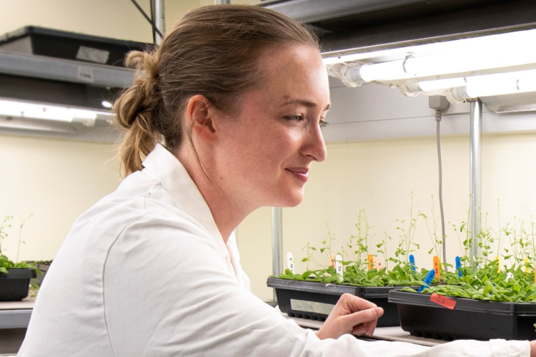 Lindsay in the lab growth rooms.