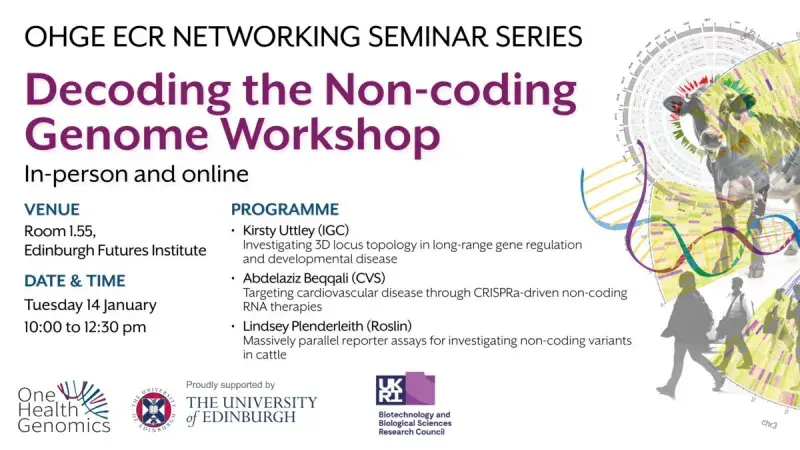Workshop flyer